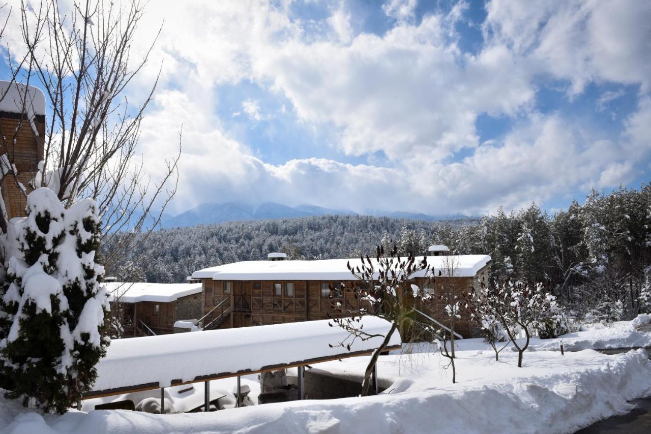 Katarino Spa Hotel 반스코 외부 사진